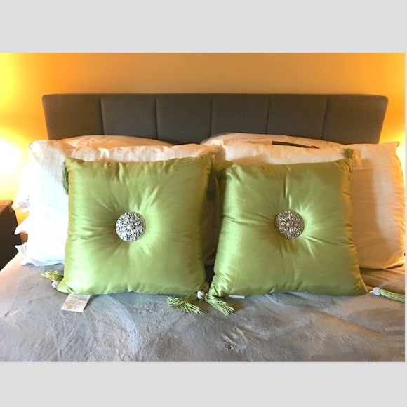 Accents Sage Green Synthetic Raw Silk Tassel Pillows Poshmark